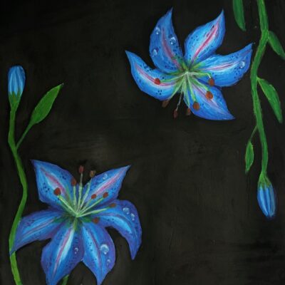 Blue Lilies