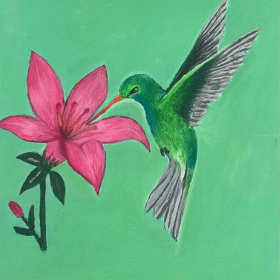 Hummingbird and Lily